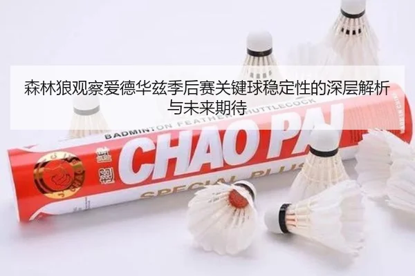 森林狼观察爱德华兹季后赛关键球稳定性的深层解析与未来期待